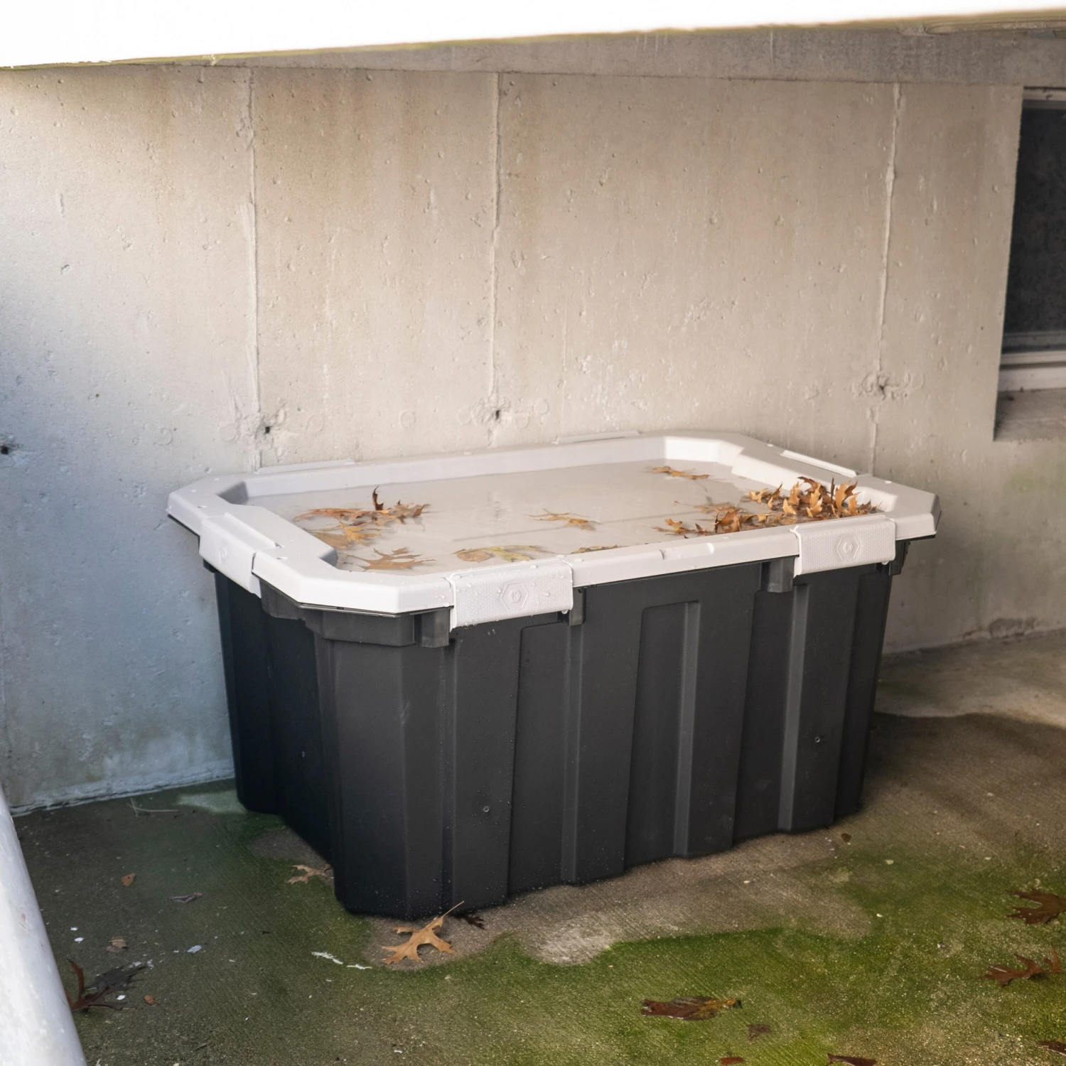 Kobalt Plastic Storage Totes X-large 24-Gallon (96-Quart) Grey Tote Latching Lid 14 Kobalt Plastic Storage Totes X-large 24-Gallon (96-Quart) Grey Tote Latching Lid - Image 14